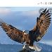Daniel Naiman - Facebook