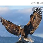Daniel Naiman - @daniel.naiman.756 - Instagram