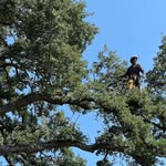 Daniel Joseph Masao Nakamoto - @singinsasquatch627 - Instagram