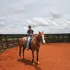Daniel Nakamura - @daniel.nakamura50 - TikTok