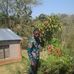 Daniel Nalli - Facebook