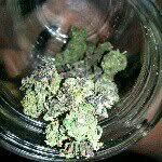 $$ THE REAL DANIEL NANGAH $$ - @gas_lover420 - Instagram