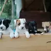 Daniele Nania - @daniele.nania - TikTok