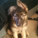 Daniel Napier - @danielnapier - Instagram