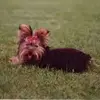 Daniela Nardini - @daniela.nardini0 - TikTok