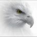 Daniel Nartey - Facebook