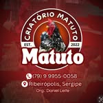 Daniel Nascimento - @criatoriomatuto_ - Instagram