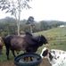 Daniel Natera - Facebook