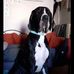 Daniel Naudin - Facebook