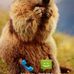 Daniel Naudin - Facebook