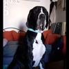 danielnaudin337 - @danielnaudin337 - TikTok