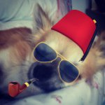 Daniel Naughton - @dn2004 - Instagram