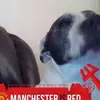 Daniel Naughton - @user66434996 - TikTok