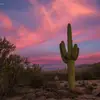 Pat Naugle - Daniels - @pat.naugle.daniel - TikTok