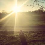 Daniel Naumann - @brutusbrush - Instagram