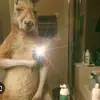 Daniel navarro - @daniel.navarro273 - TikTok
