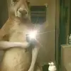 Daniel Navia - @daniel.navia61 - TikTok