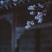 Daniel Nay - Facebook