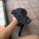 Daniel Rocha - @danielnazarethrocha - Instagram