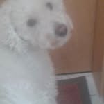 Daniel Neagu - @danielneagu20 - Instagram