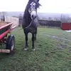 Daniel Neagu - @danielneagu27 - TikTok