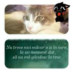 Camelia Si Daniel Nedelcu - @cameliasidanielnedelcu - Instagram