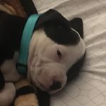 Daniel Neely - @daniel_kaiser_neely - Instagram