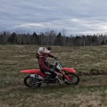 Daniel Neil - @daniel_neil - Instagram