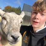 Daniel O'Neill - @daniel_neill1403 - Instagram