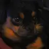 danielnemitz211 - @danielnemitz211 - TikTok