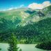 Taylor Daniel -  Blog Neptune - Facebook