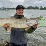 Daniel Neubauer - @daniel_neubauer_fishing - Instagram