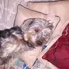 Daniel Newby - @daniel.newby94 - TikTok