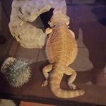 Daniel Newland - @daniel.newland - Instagram