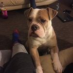 Daniel Newlands - @danielnewlands2191 - Instagram