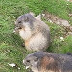 Daniel Nitsche - @dani8.674 - Instagram