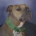 Daniel J R Northrup - Facebook