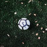Daniel Nott - @dannott707 - Instagram