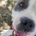 Daniel Nulman - @nulmandaniel - Instagram