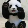 Daniel Nunes - @danielnunes0 - TikTok