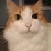 Dan Nutting - Facebook
