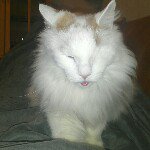 Daniel Nyman - @daniel_nyman_ - Instagram