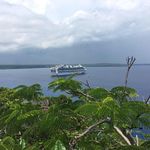 Daniel Nyman - @danielnyman7 - Instagram