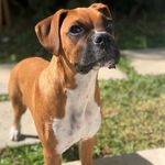 Daniel Oakman - @danieloakman35 - Instagram