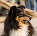 Daniela Oberndorfer - Facebook