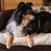 Daniela Oberndorfer - Facebook