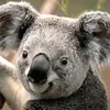 Daniel Obreque - @daniel.obreque7 - TikTok