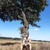 danielochmann0 - @danielochmann0 - TikTok