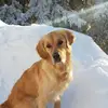 Danielle - @danielleochsner1 - TikTok