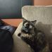 Daniel Ocker - Facebook